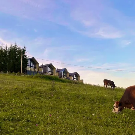 Mirodil House * Yablunytsya